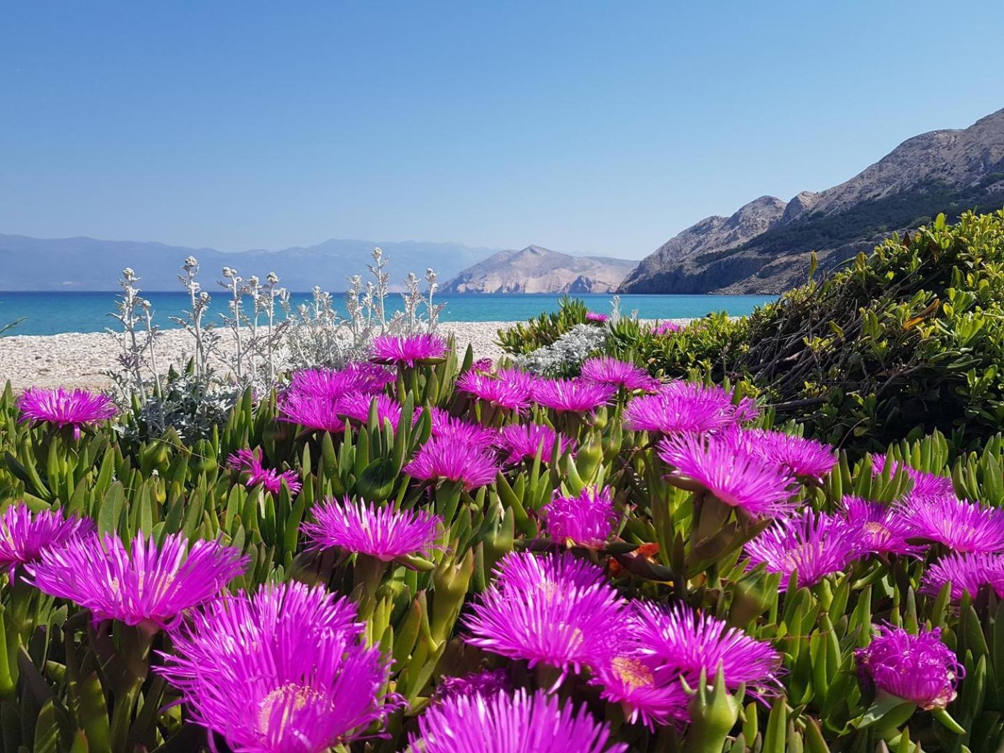 Apartments Kucar Baška Dış mekan fotoğraf